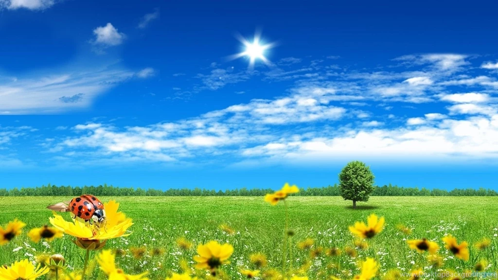 Bright Wallpapers Best Car 2015
