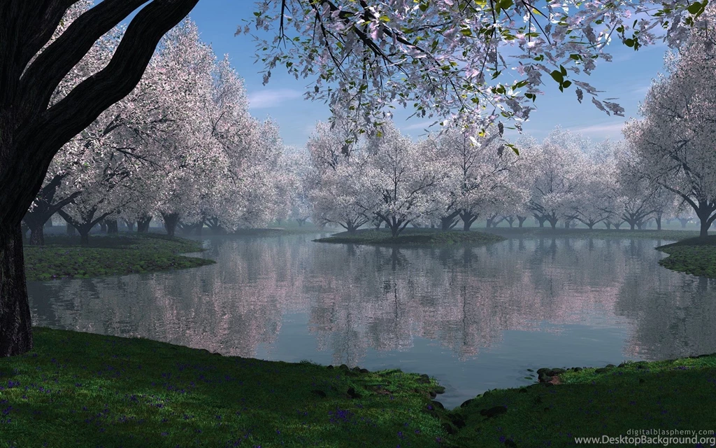 Collection, Computer, Wallpaper, Nature, Beautiful (