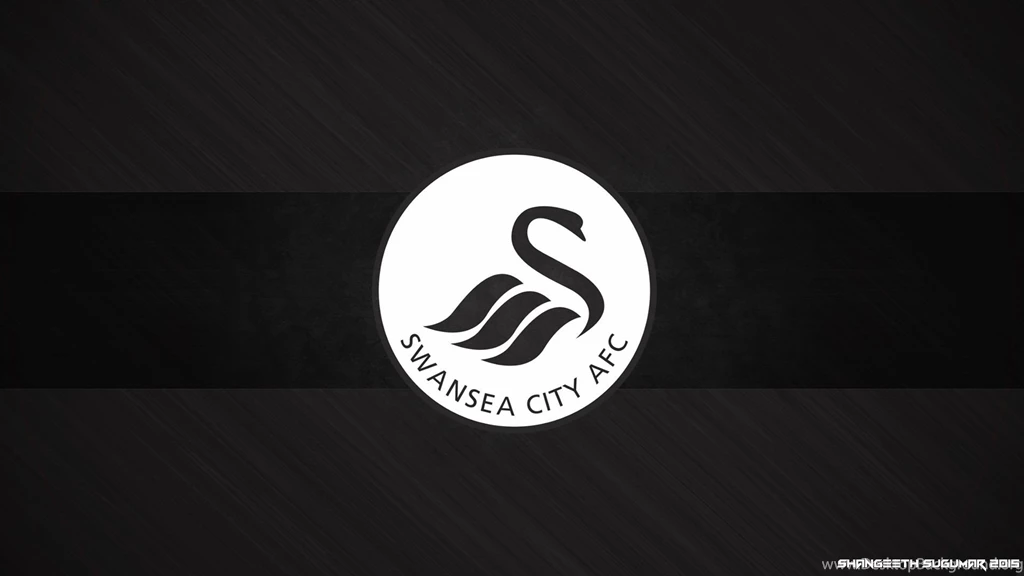 Wonderful Swansea City Wallpapers