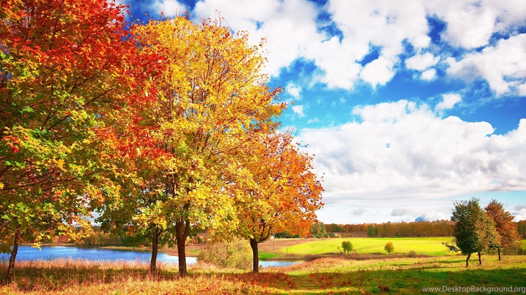 Download Wallpapers 3840x2160 Autumn, Trees, Colors, Palette ...