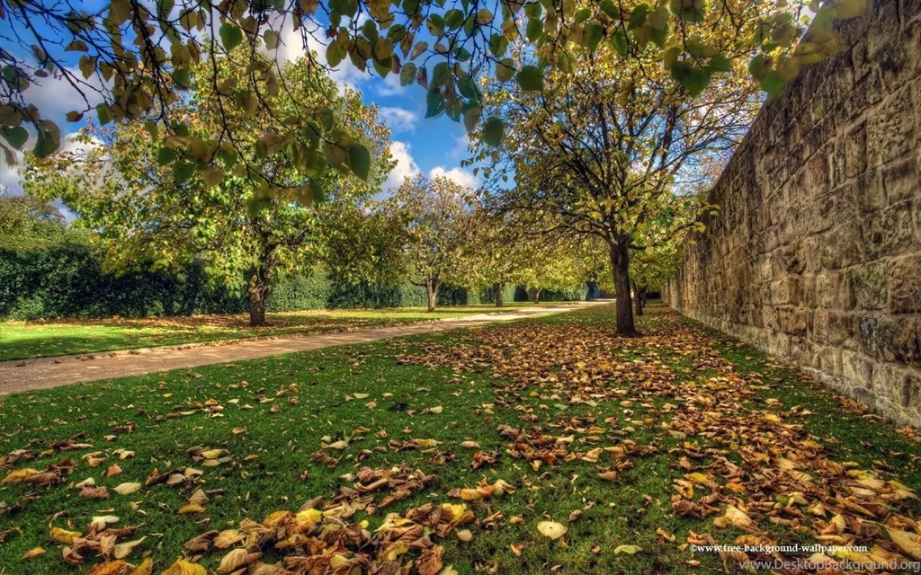 Fall Trees At Hardwick Hall Fall Trees Backgrounds 1280x800 Pixels