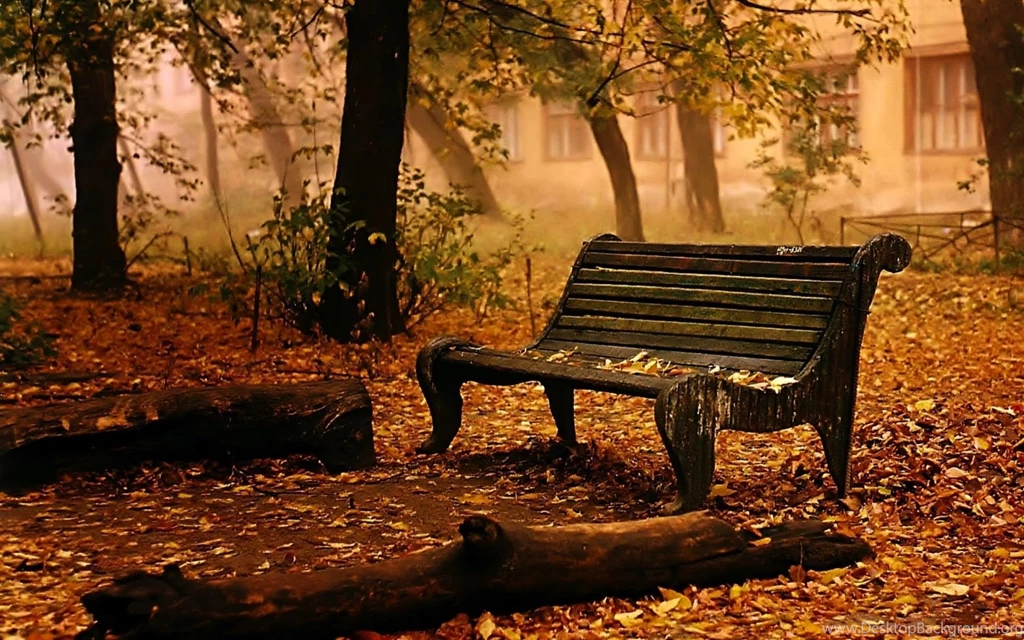Landscapes Bench Chair Seat Autumn Fall Leaves Trees Mood ...