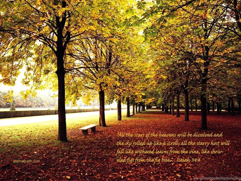 Fall Pics For Wallpapers