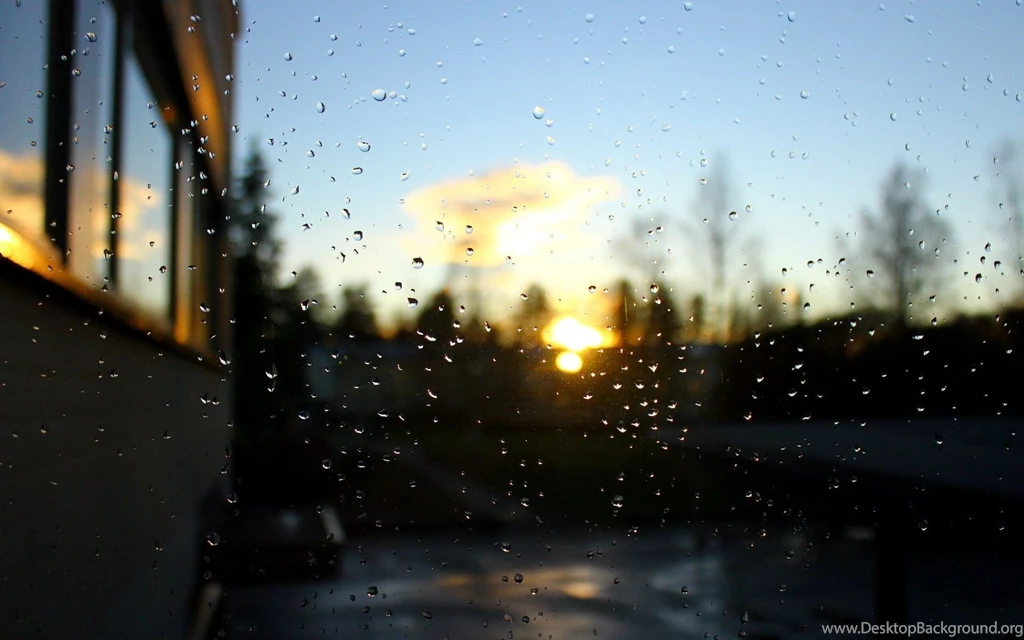 Sunset Nature Rain Bokeh Window Panes Wallpapers