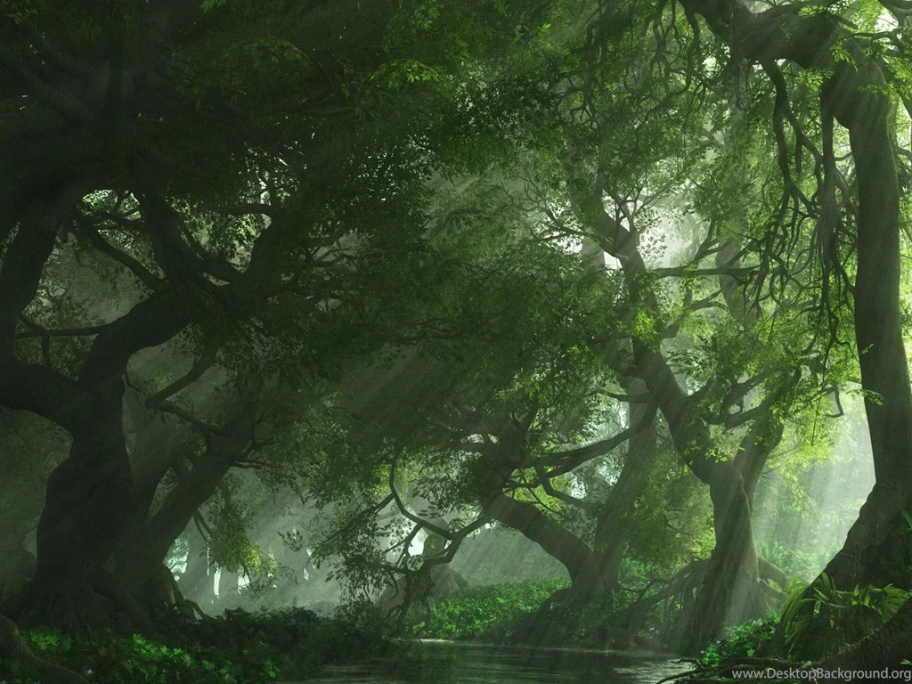 High Quality 3D Wallpapers All Wallpapers New