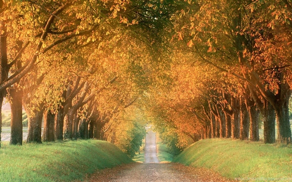 Best Desktop HD Wallpapers 7.jpeg