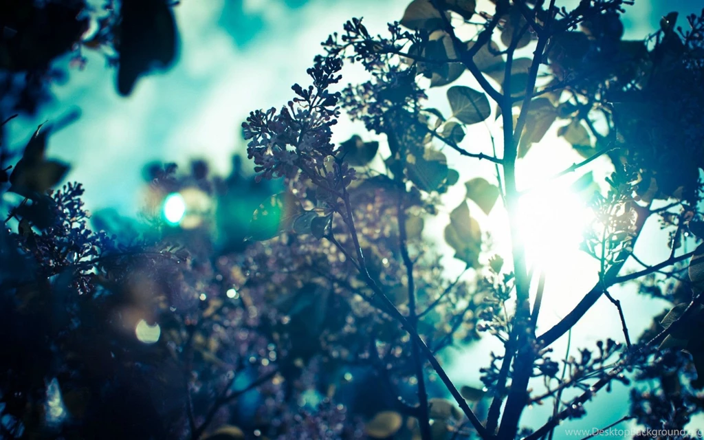15+ Vintage Hipster Backgrounds