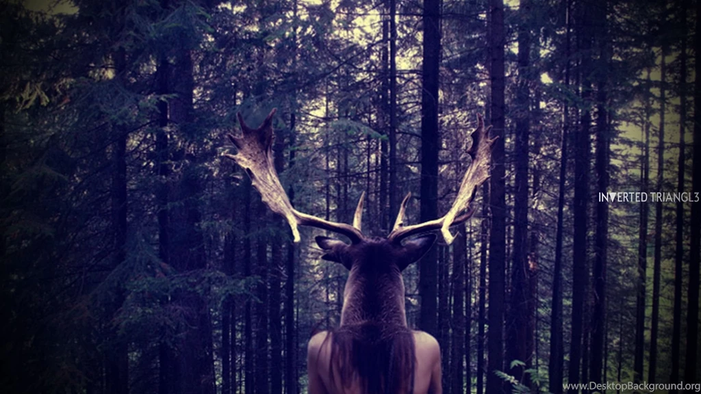 Hipster Images Page 2