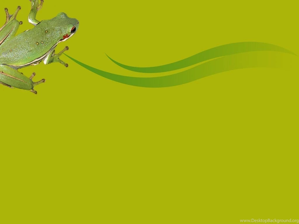 Frog Download PowerPoint Backgrounds PPT Backgrounds