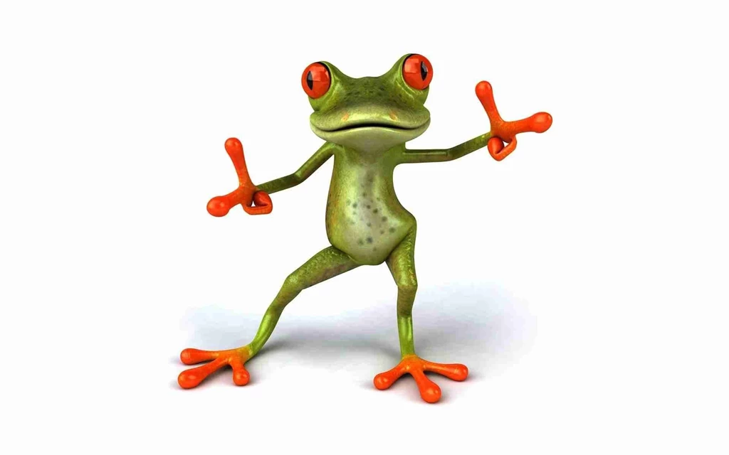 Funny Frog Wallpapers