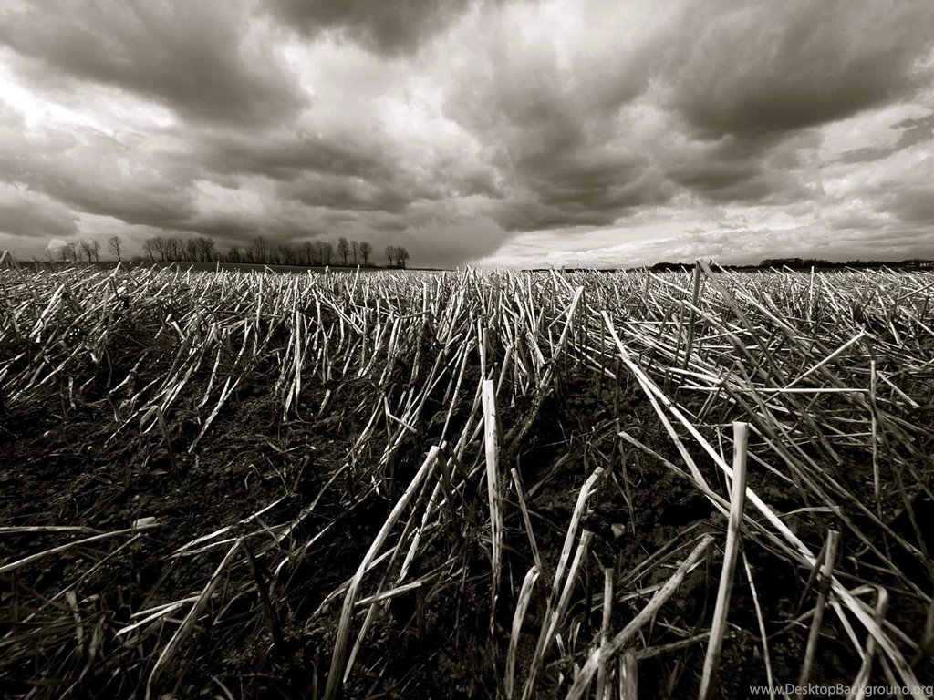 Black And White Photography Wallpapers Best