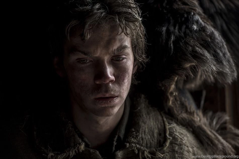 The Revenant 342849 Gallery, Images, Posters, Wallpapers And Stills