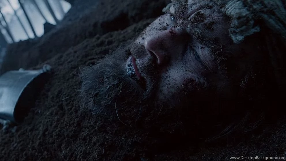 The Revenant Movie Wallpapers