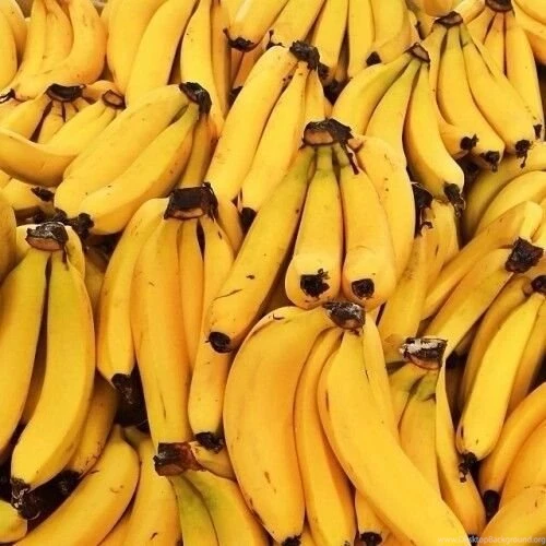 Bananas Image