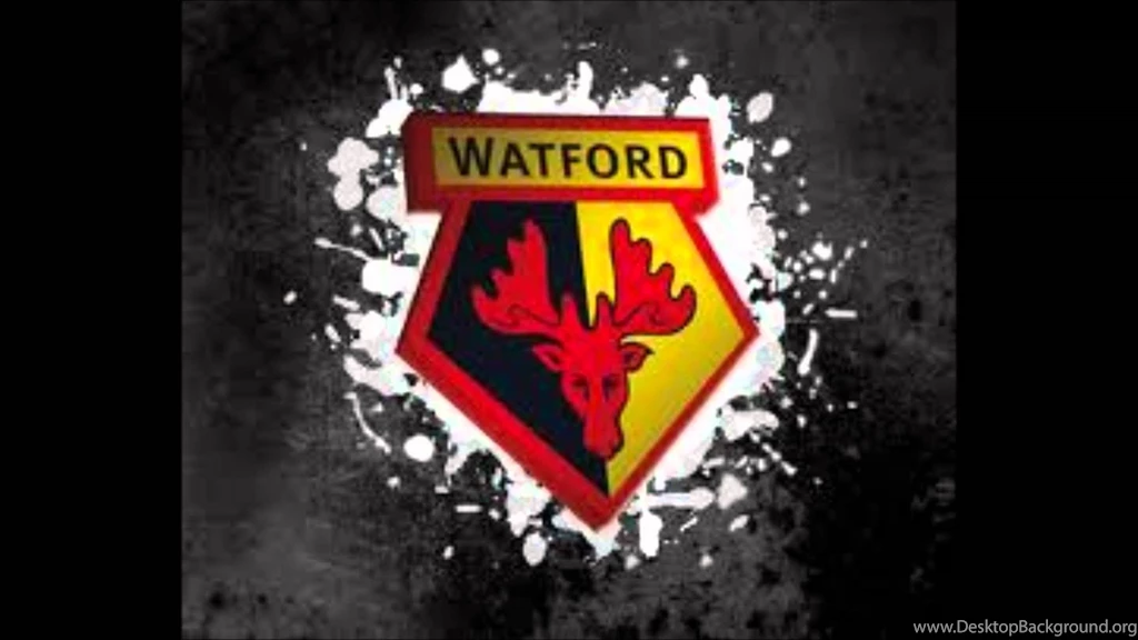 WATFORD FC!!! YouTube