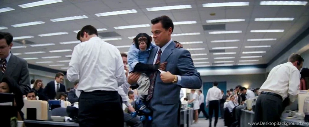 The Wolf Of Wall Street Movie Wallpapers