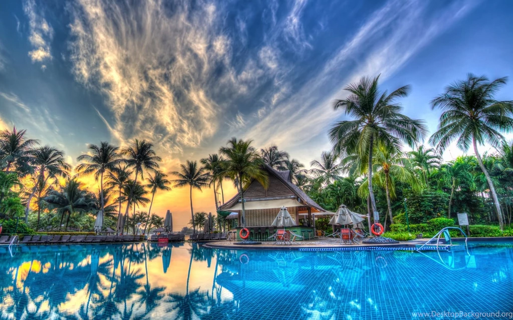 Australia Sydney Palm Trees Pool Wallpapers