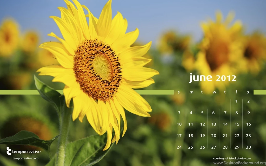 June Desktop Calendars 2012