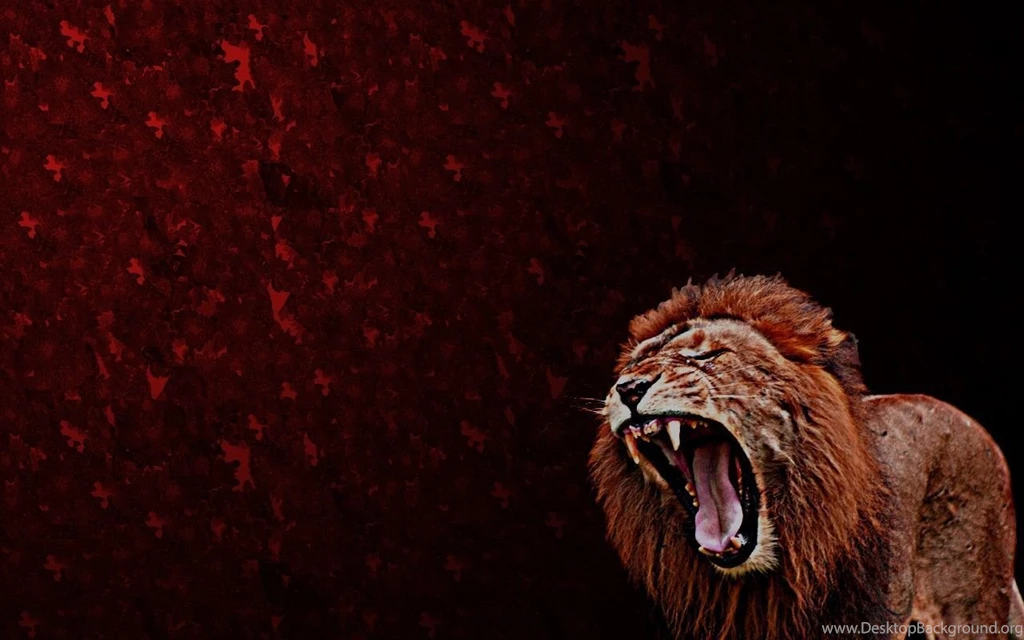 Abstract Lions Roar Fresh New Hd Wallpapers [Your Popular HD ...
