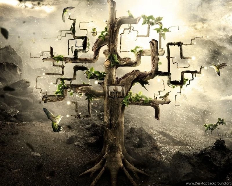 Abstract Tree Wallpapers