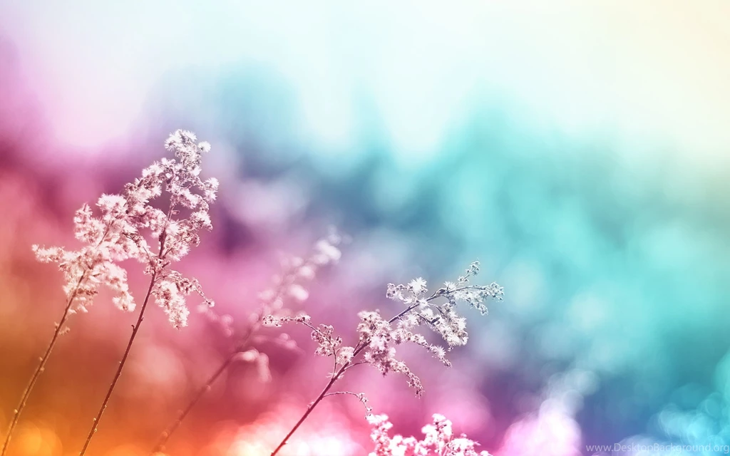 Wallpapers HD Abstract Nature As Picture Of A More Fantastic Nature ...