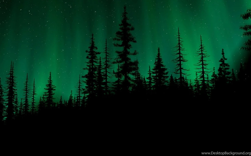 Dark Forest HD Wallpapers, Dark Forest Backgrounds