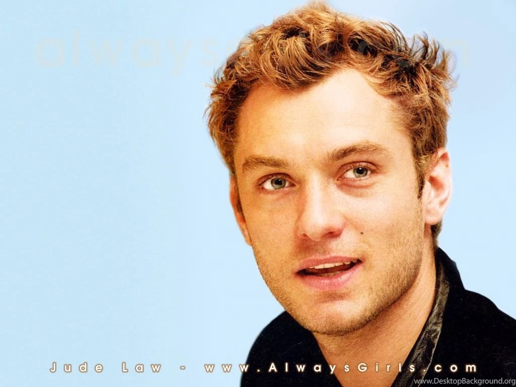 Wallpapers Lawyer   Wallpapers Animal Hd