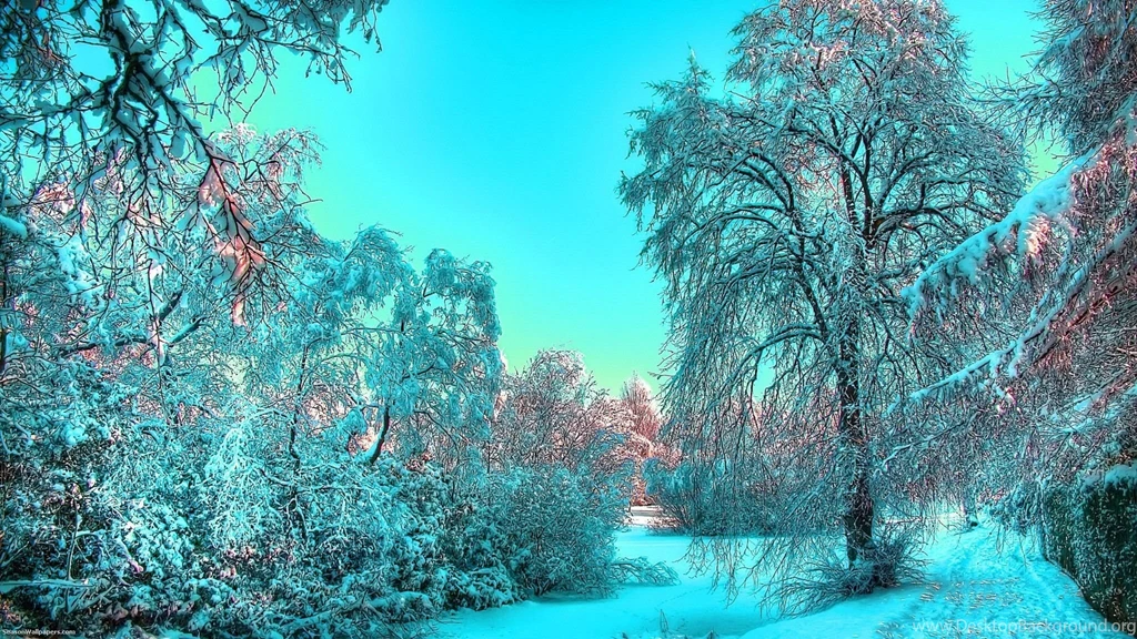 Wallpapers 2048x1152 Winter Forest Covered With Snow In The Rays ...