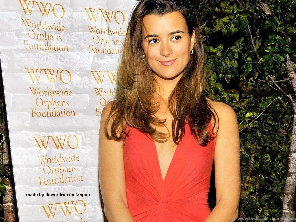 Cote de pablo wallpaper cote de pablo married b47290880f7f19c57e24e76f9acb5f13 large 55230.jpg