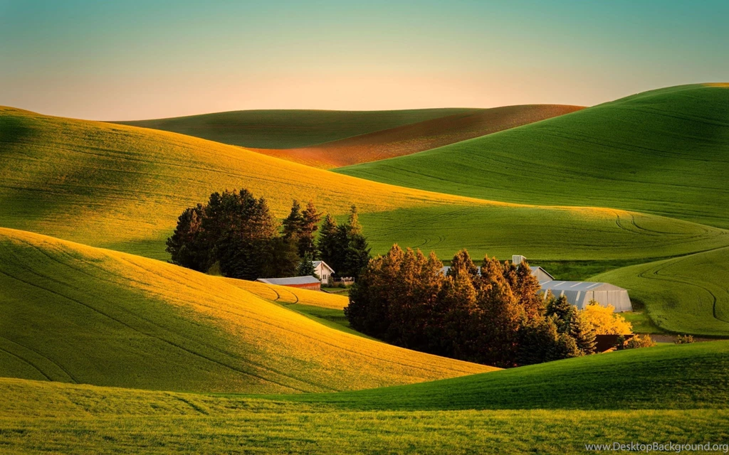 Download Wallpapers 3840x2400 Field, Grass, Landscape, Farm Ultra ...