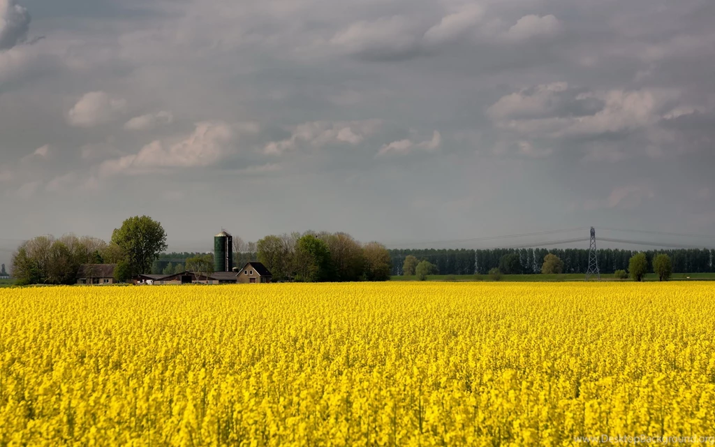 Ultra HD 4K Farm Wallpapers HD, Desktop Backgrounds 3840x2400