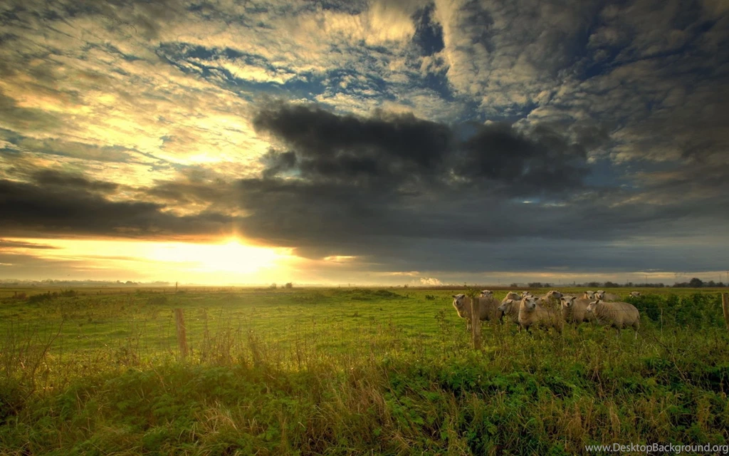 Gallery For   Farm Scene Wallpapers