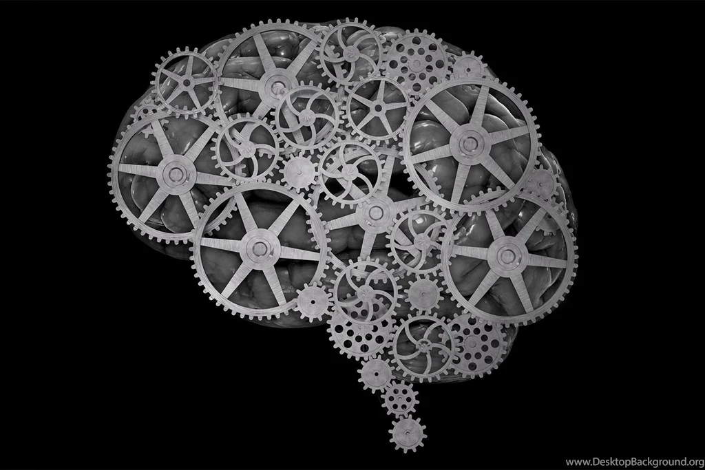 Brain Anatomy Medical Head Skull Gear Gears Psychedelic Wallpapers ...