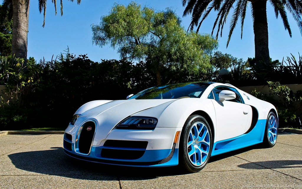 Download Wallpapers 3840x2400 Bugatti, Veyron, Vitesse, Blue, Palm ...