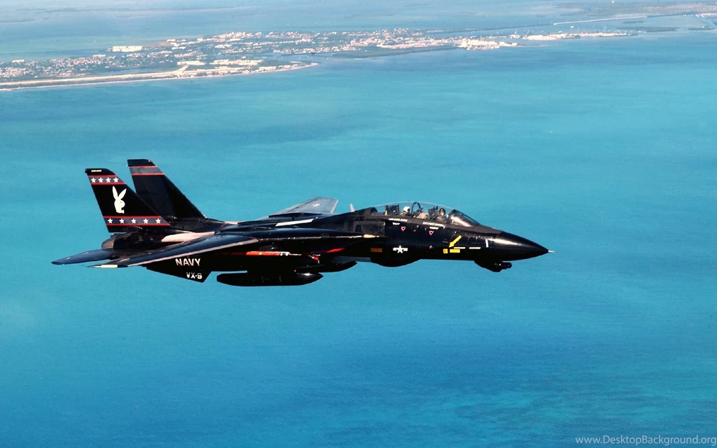 Grumman F 14 Tomcat Computer Wallpapers, Desktop Backgrounds ...