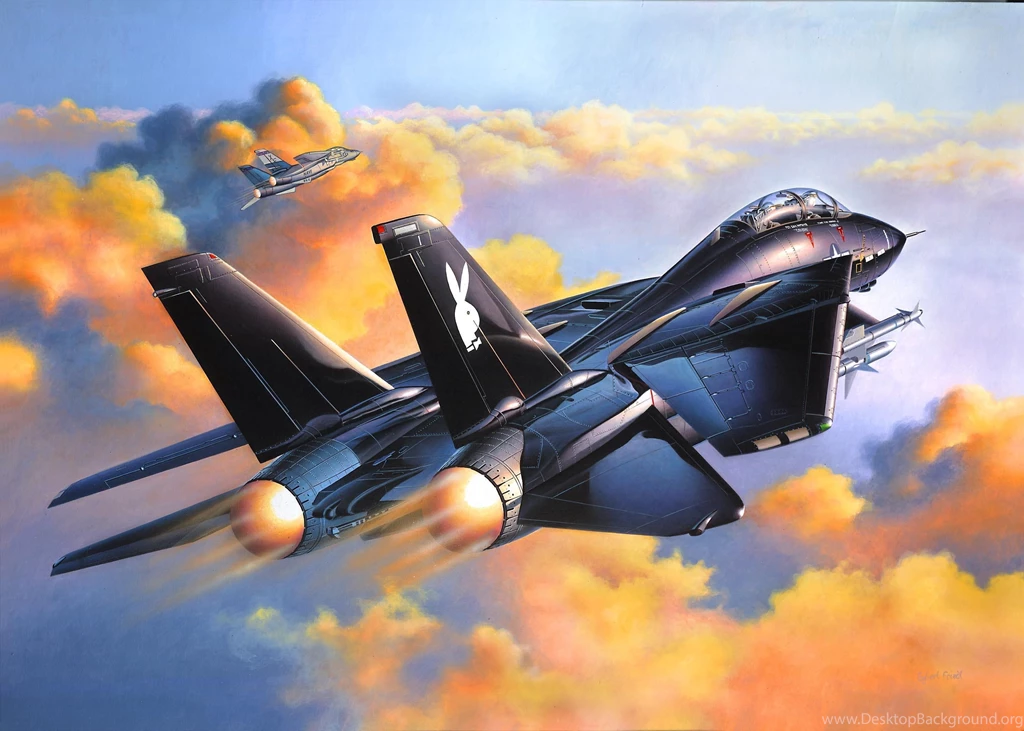Grumman F 14 Tomcat Wallpapers HD Download