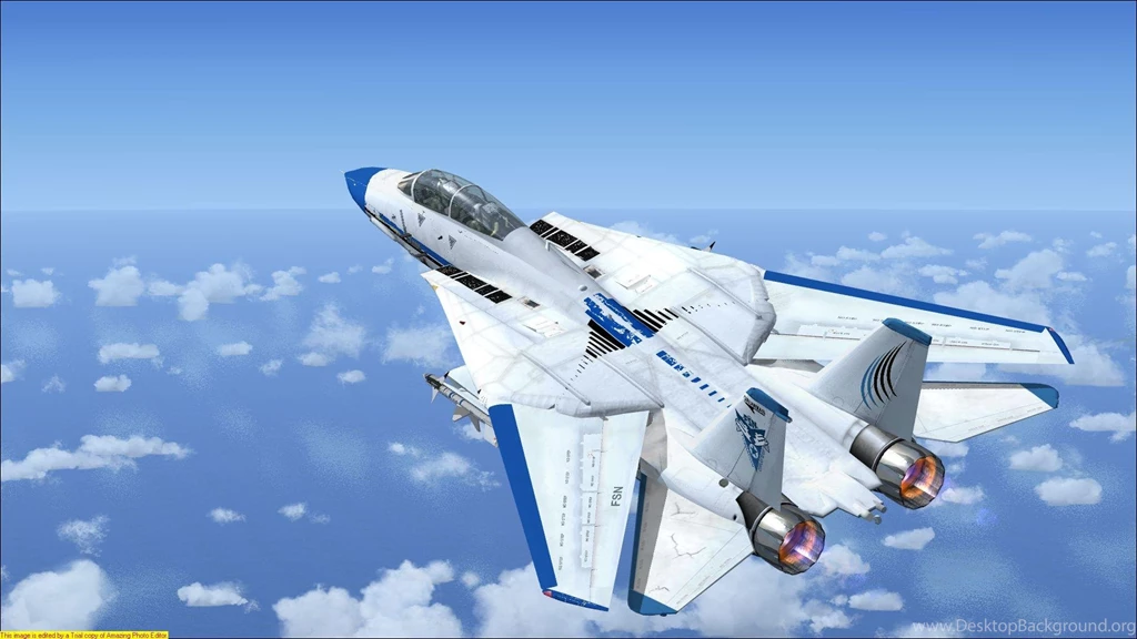 Tomcat Wallpapers >> Backgrounds With Quality HD