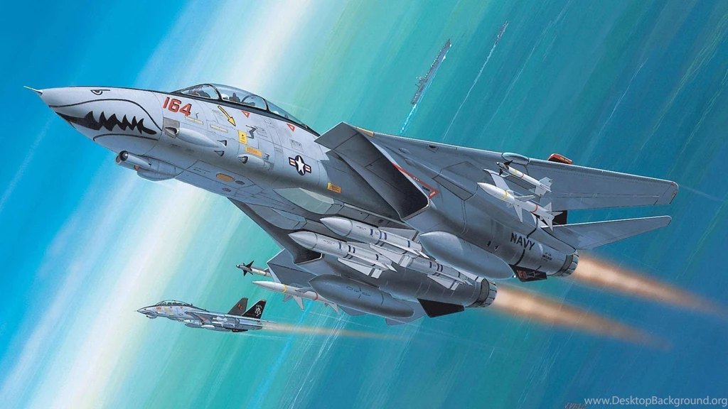 Grumman F 14 Tomcat Fighter Interceptor Navy AVIANISETS Missiles ...