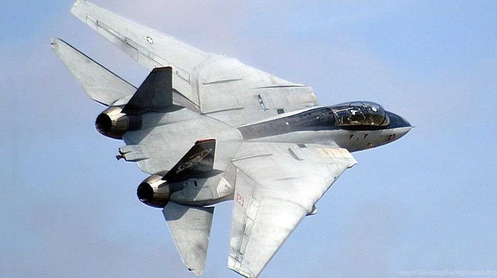 F14 tomcat sweptback 2.jpg
