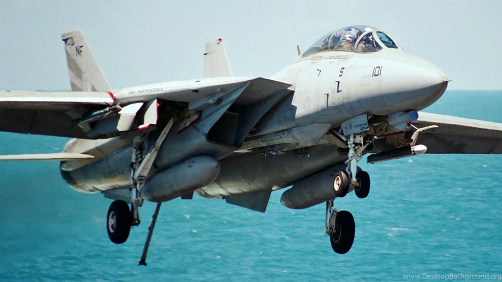 Tomcat Wallpapers >> Backgrounds With Quality HD
