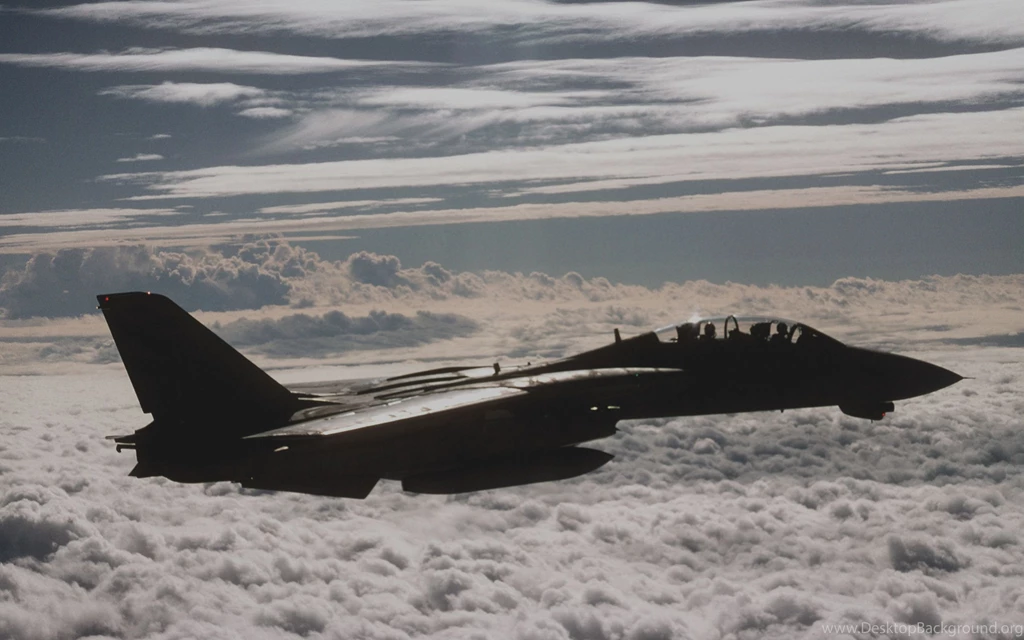 Fighter Aircraft, F 14 Tomcat, United States