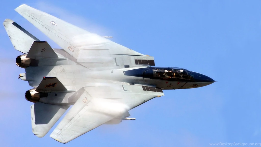 F 14 Tomcat 1785447