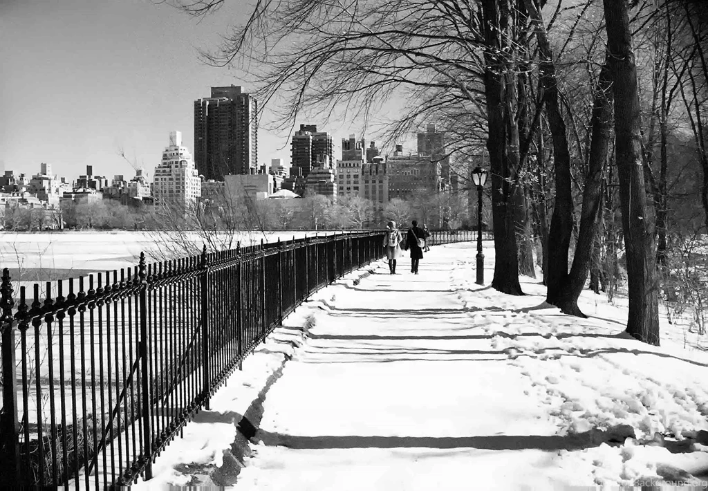 Winter In The City Wallpaper.jpg