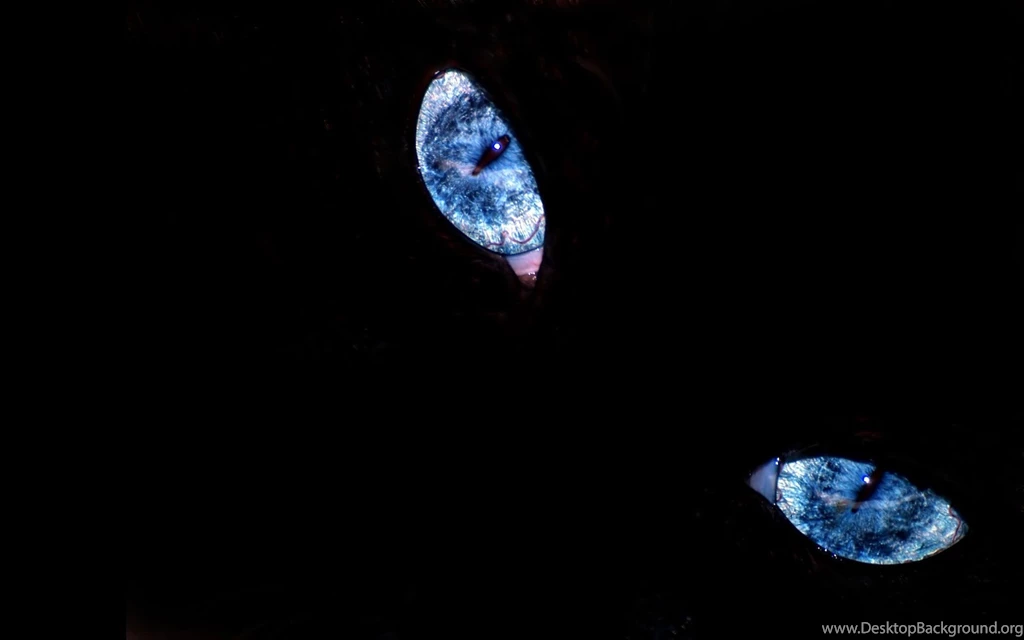 Black And Blue Wallpapers Abstract Abstract Wallpapers Black And ...
