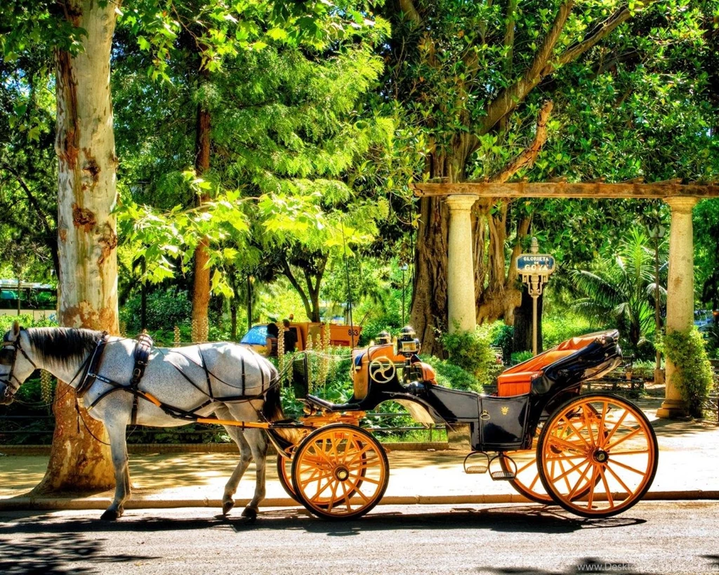Park At Seville Spain Wallpapers