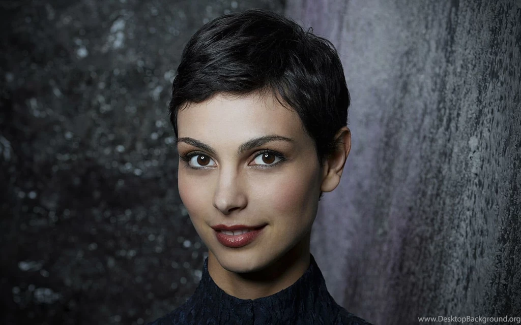 Pumpkin Pie   Wallpaper.