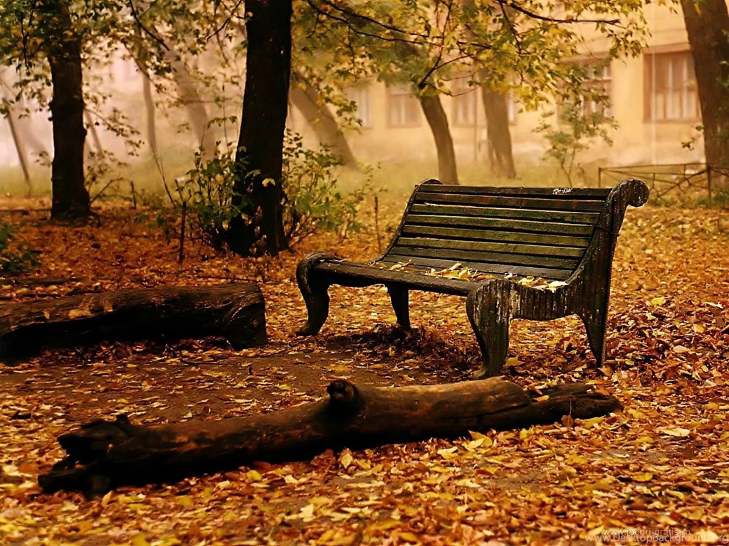 Gallery For   Fall Autumn Pictures Wallpapers