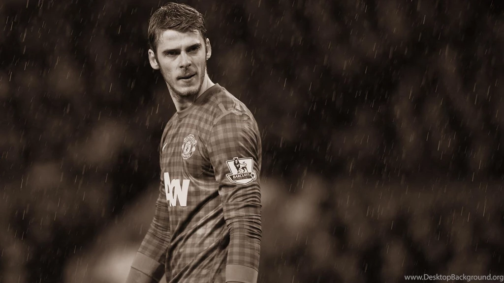 League Goalkeeper Football Player David De Gea Wallpapers
