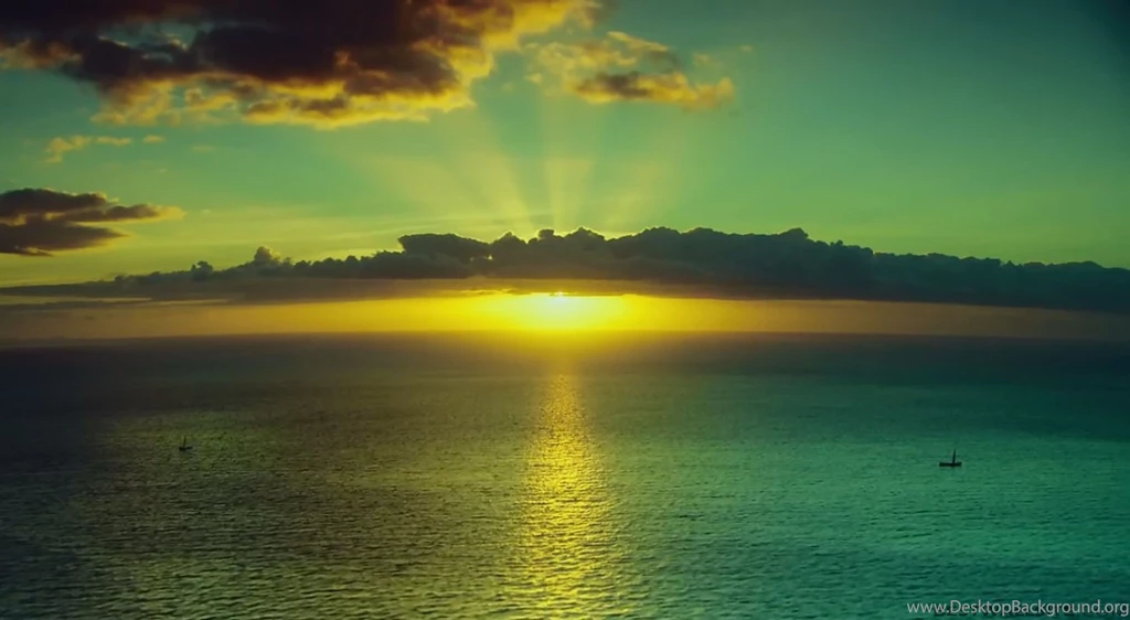 In The Heart Of The Sea