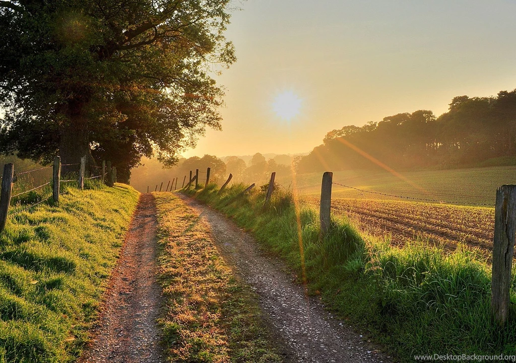 Download Hd Images, Nature Of Wallpapers, Endless View, Plants ...